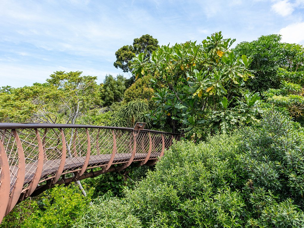 Kirstenbosch