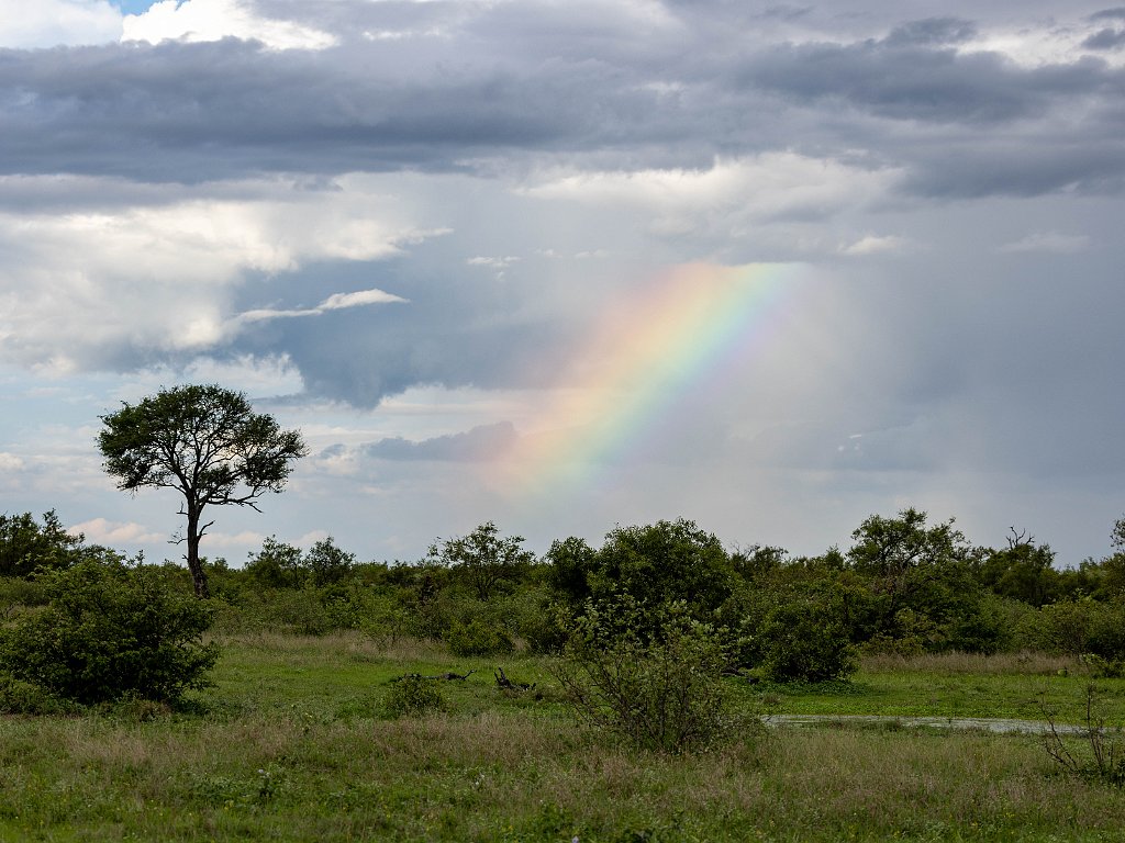 Lukimbi game reserve