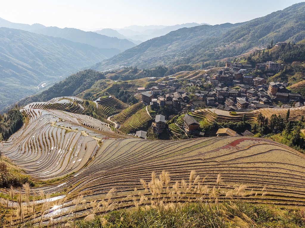 Longji rice terraces