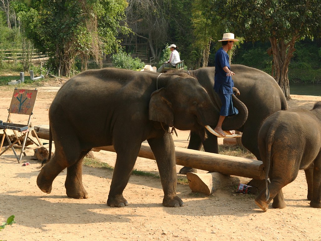 Chiang Mai 2004 Dec