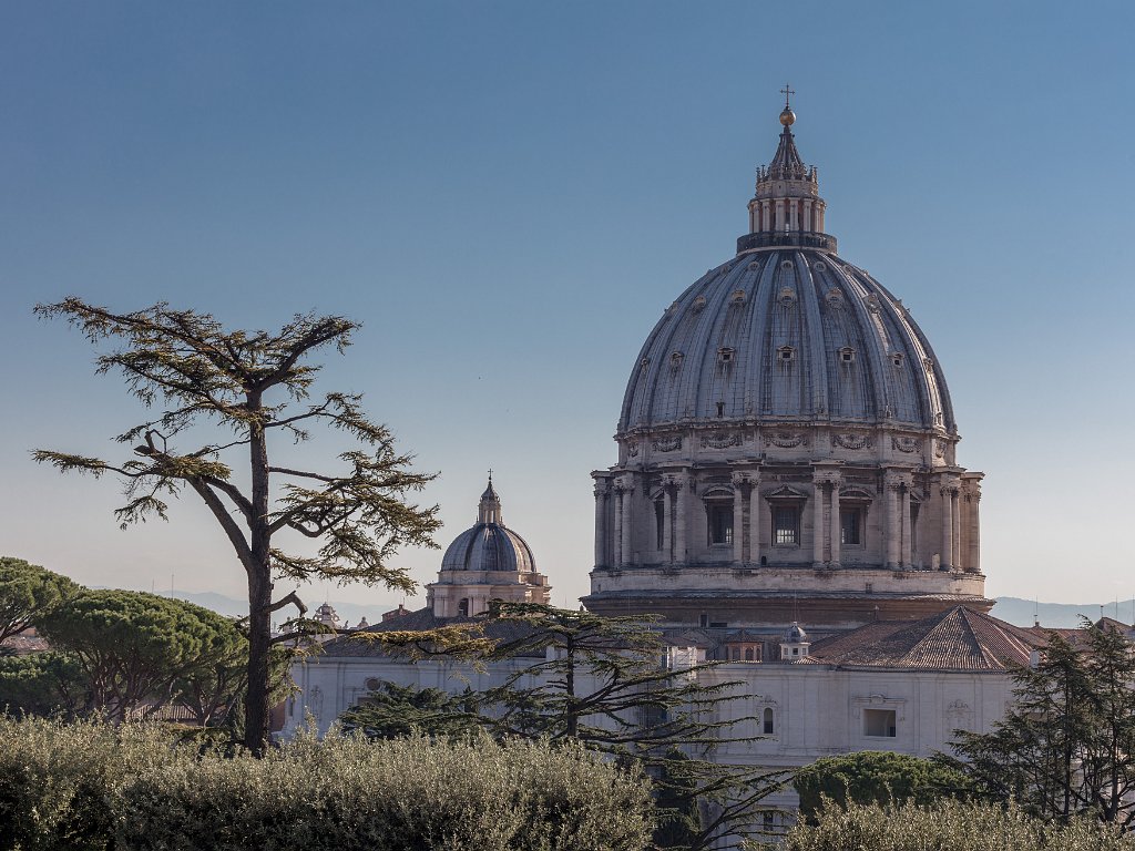 Vatican City 2018 Nov