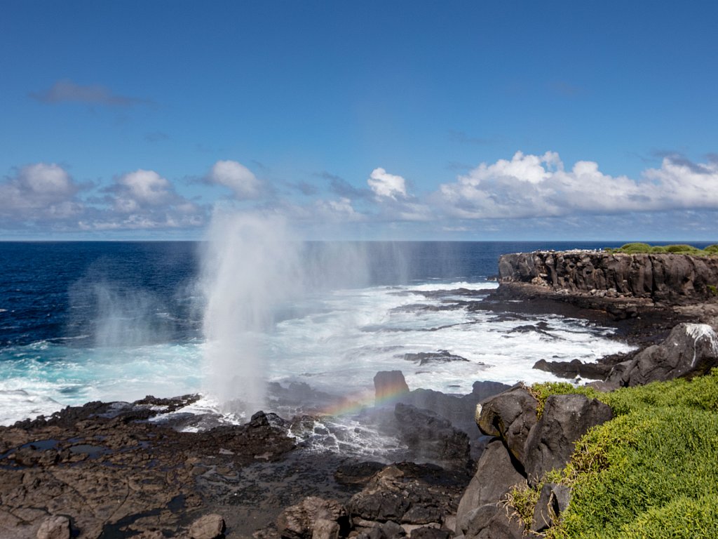 Galapagos - Española 2023 May